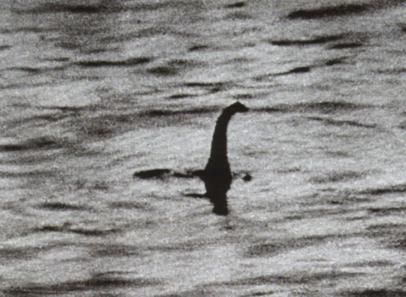 Nessie sighting on Loch Ness
