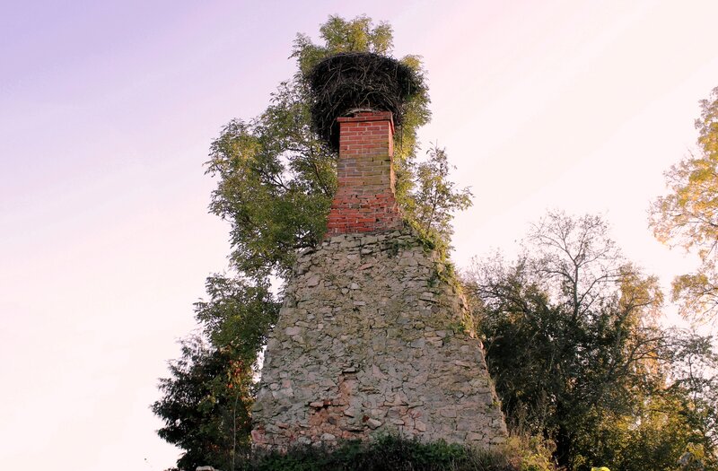 Nest on Brick Chimney