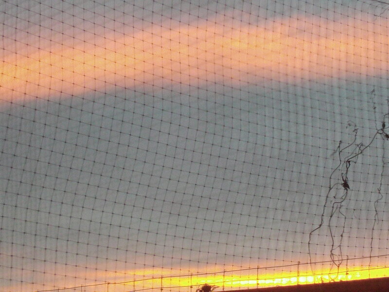Net over Sunset Sky