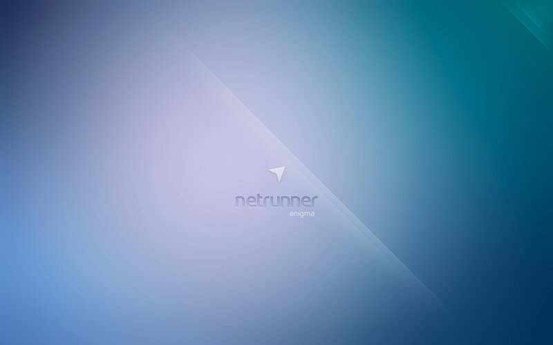 Netrunner Enigma Logo