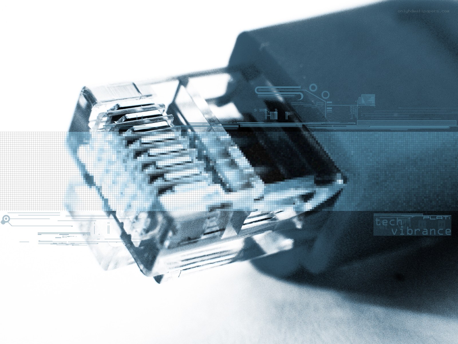 network cable connector close-up