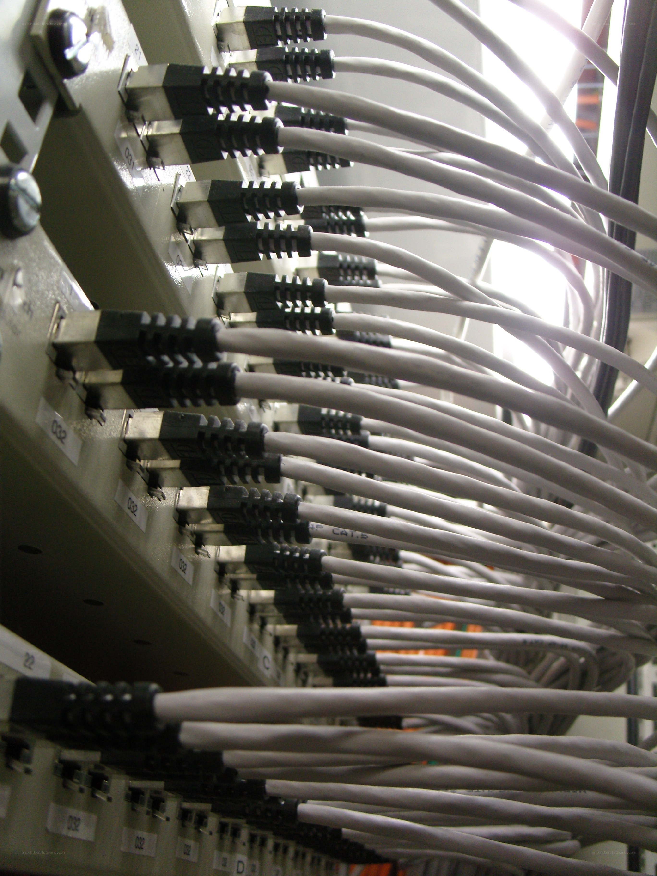 Network cables connected to patch panel