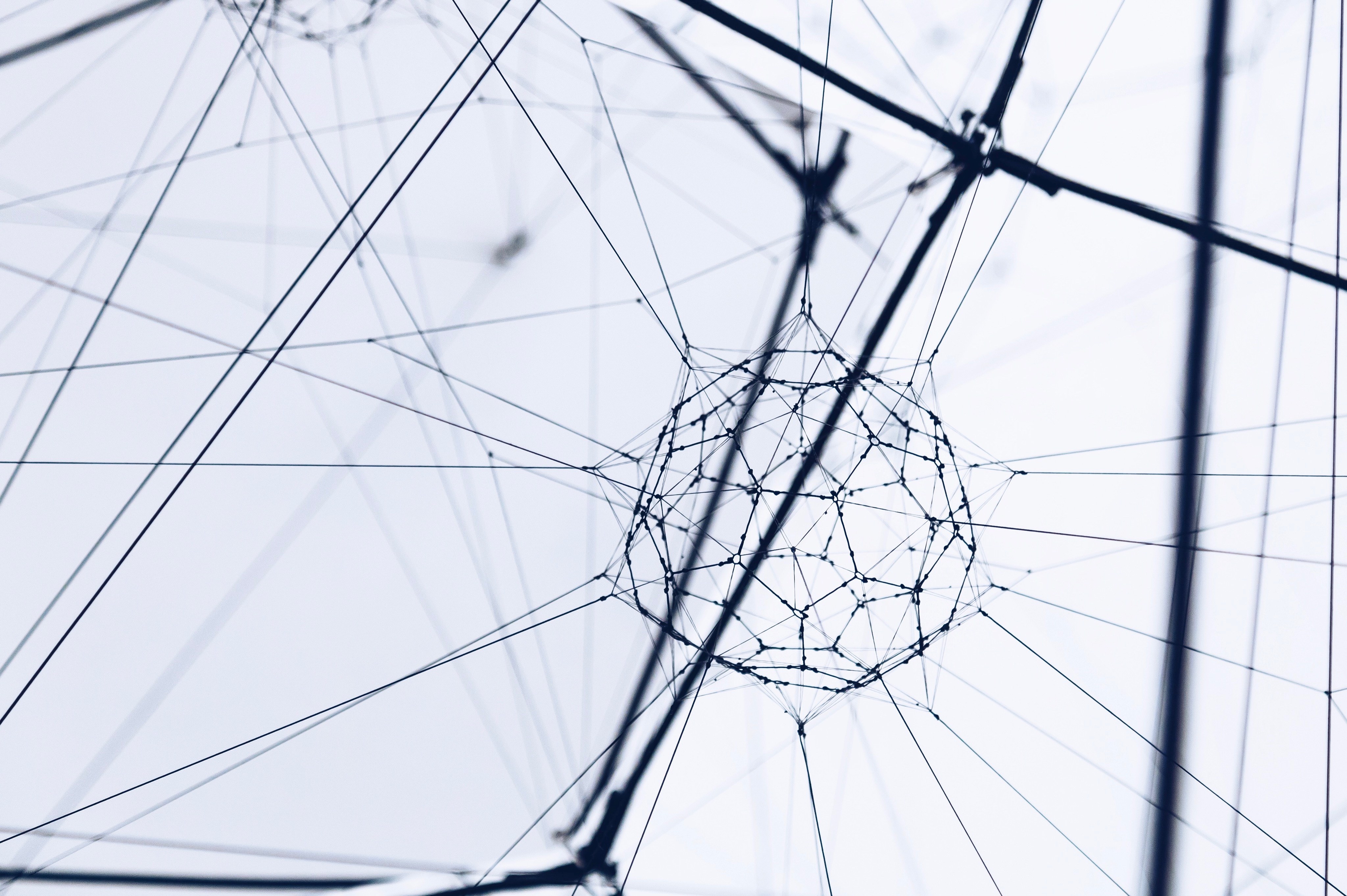 network of interconnected lines