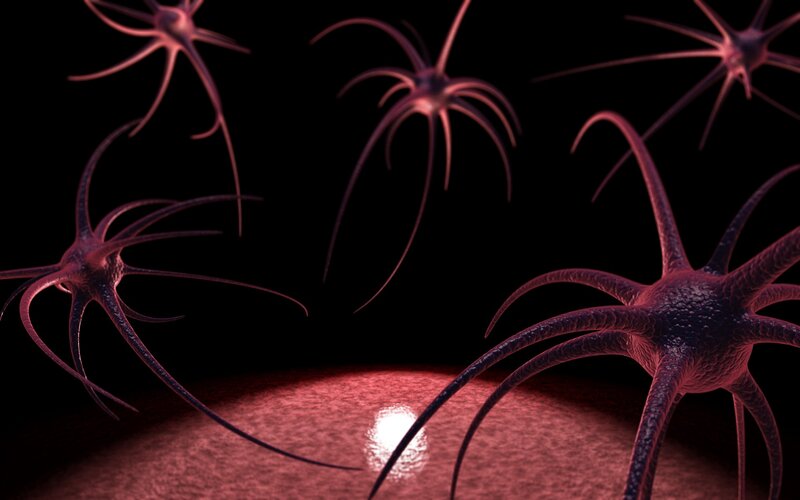Neural cells in a dark environment