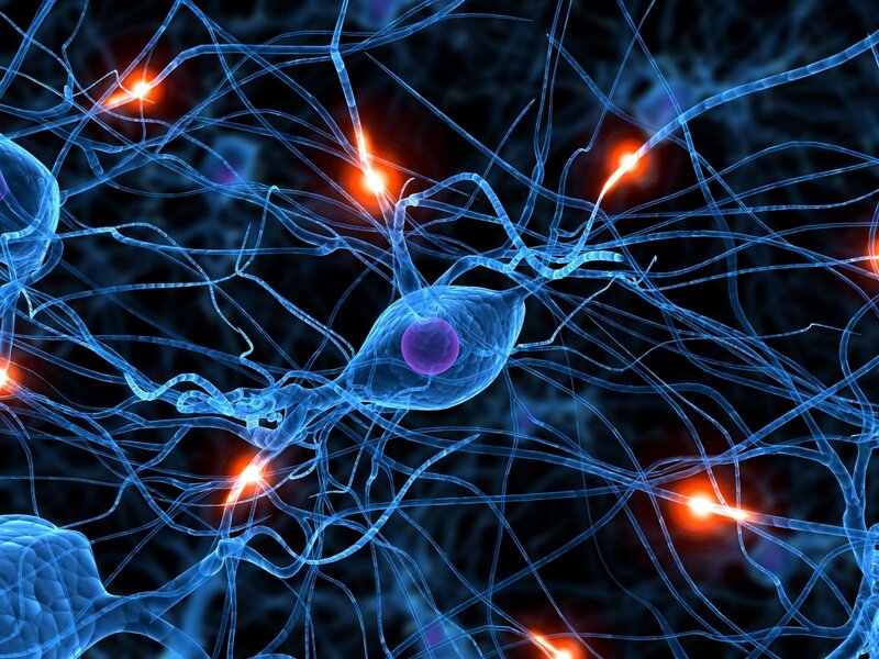Neural network activity