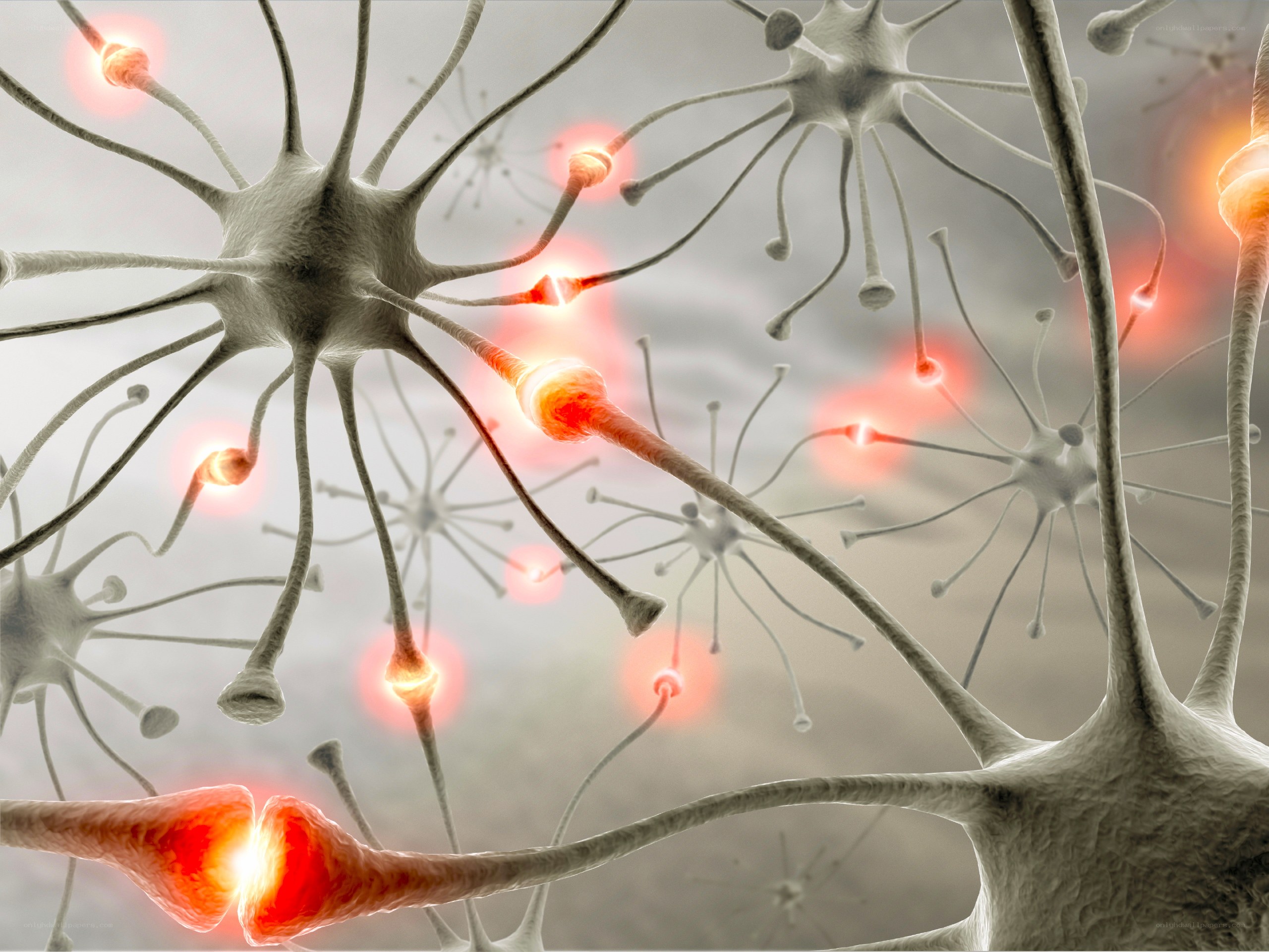 Neural network activity
