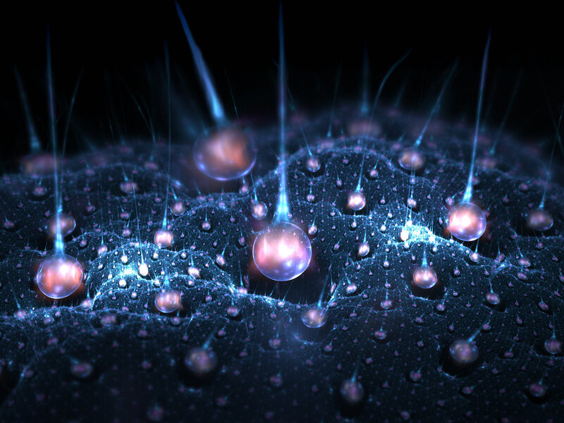 neural network activity