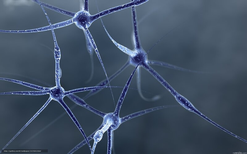 Neural Network Cells — Blue, Scientific, 3d Render, Axons