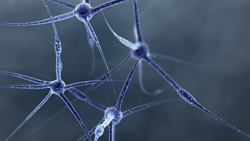 Neural Network Cells — Blue