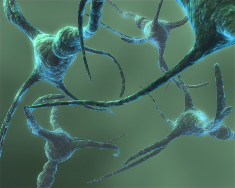 Neural Network Cells — Green