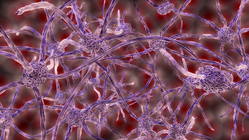 Neural Network Cells — Purple