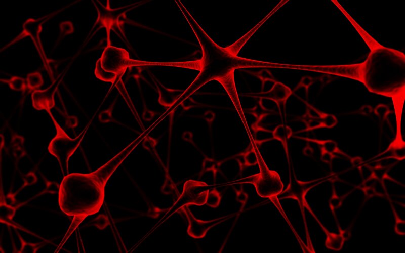 Neural Network Cells — Red