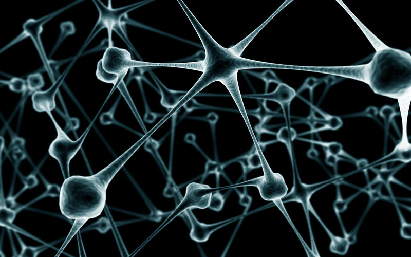 Neural Network Cells — White, Scientific