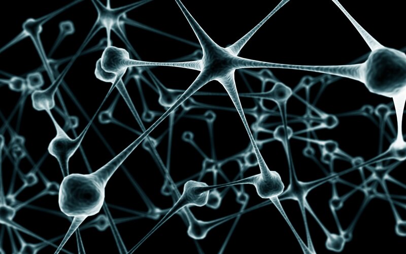 Neural Network Cells — White