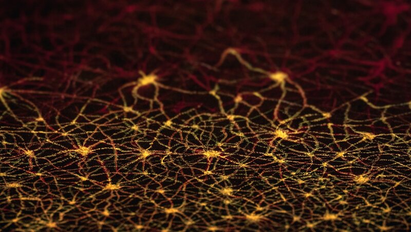 Neural Network Cells — Yellow