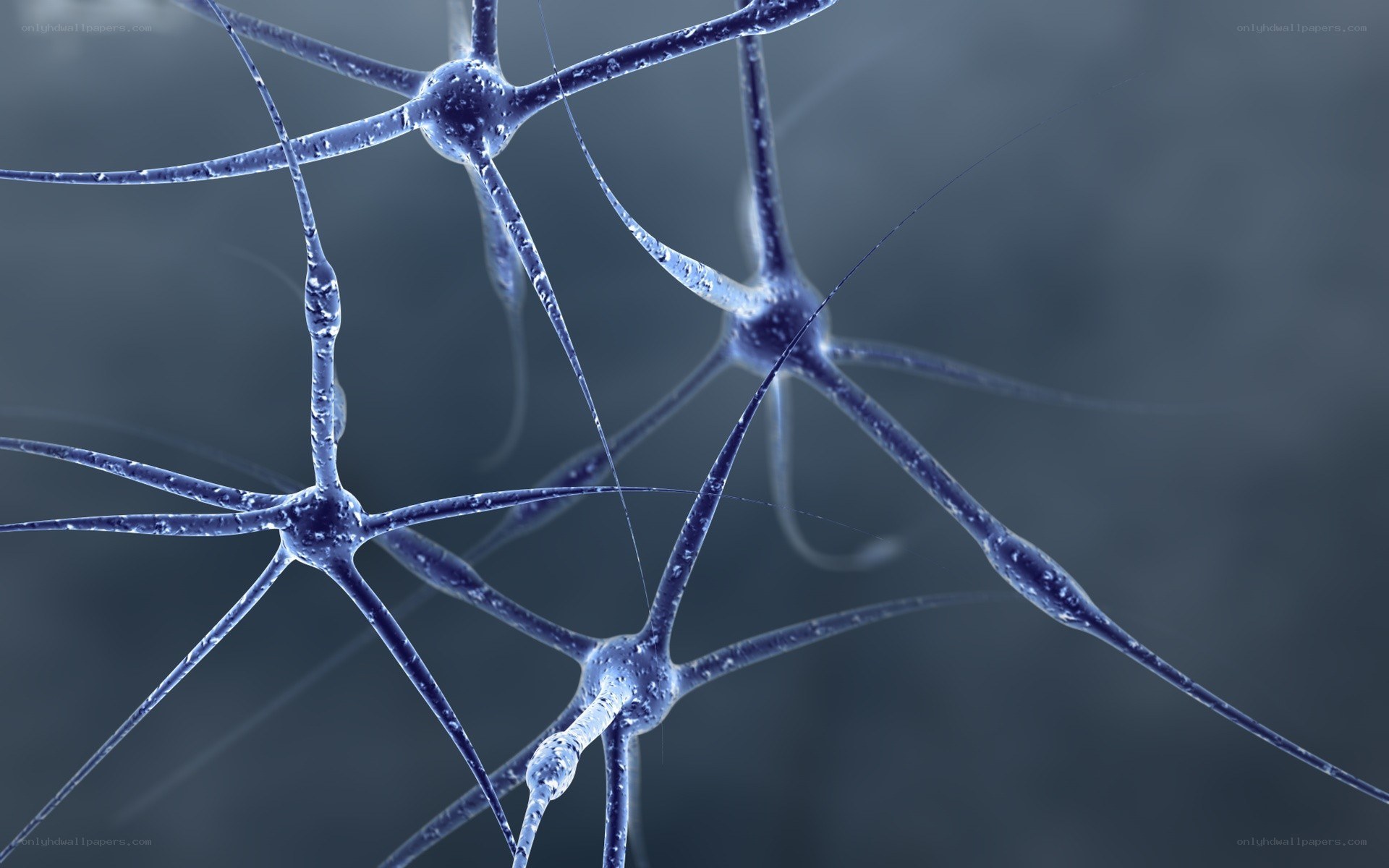 Neural network cells