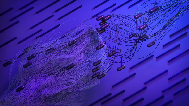 Neural Network Fibers