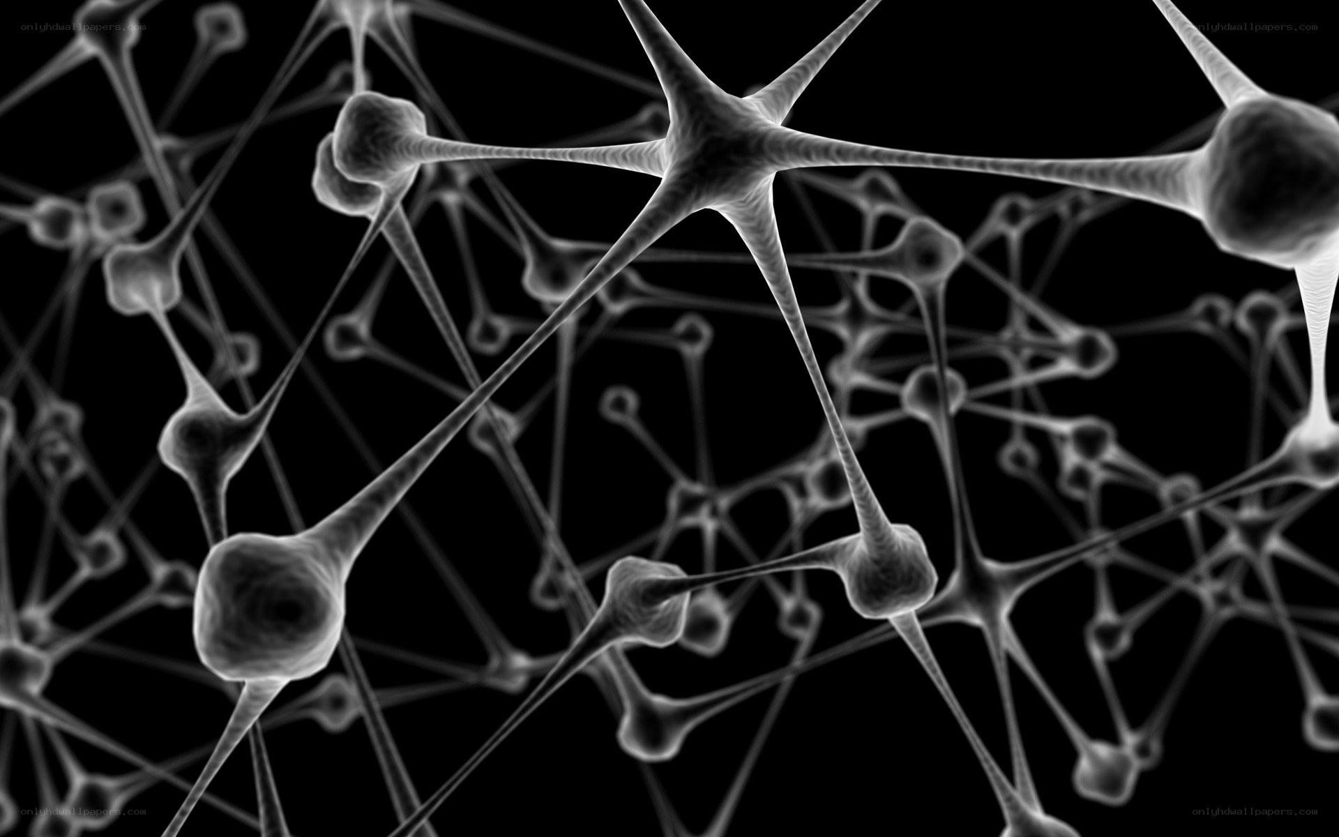 Neural network illustration
