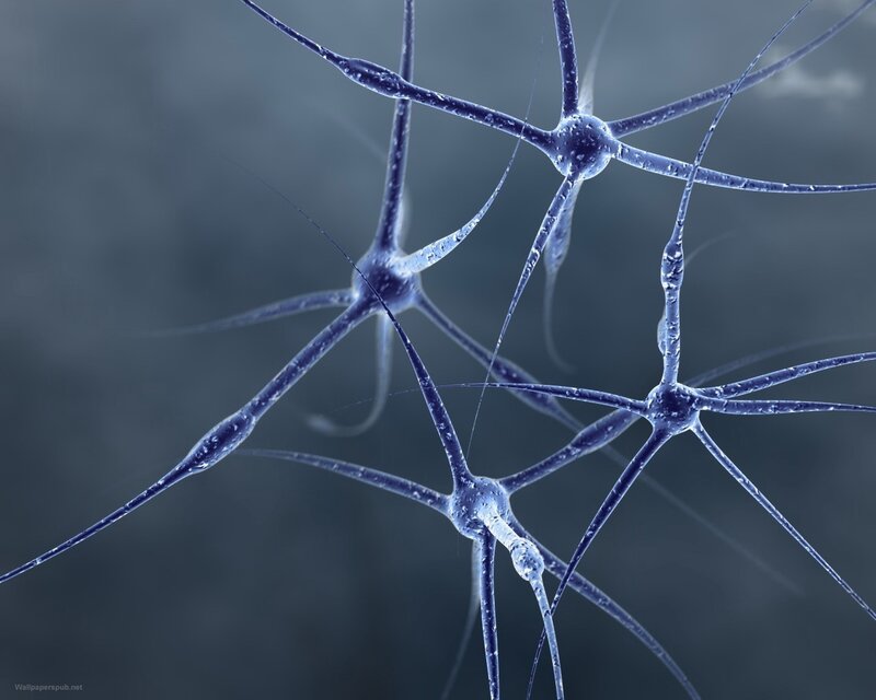 Neural network structure