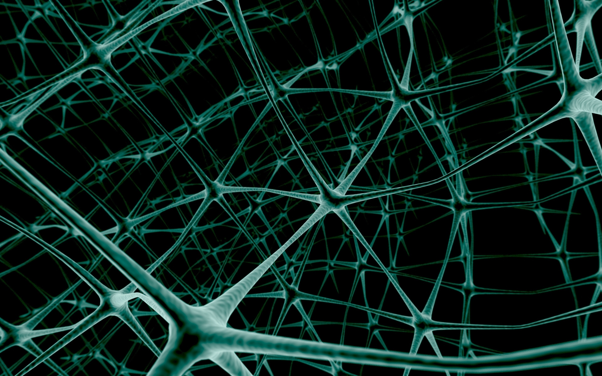 Neural network structure