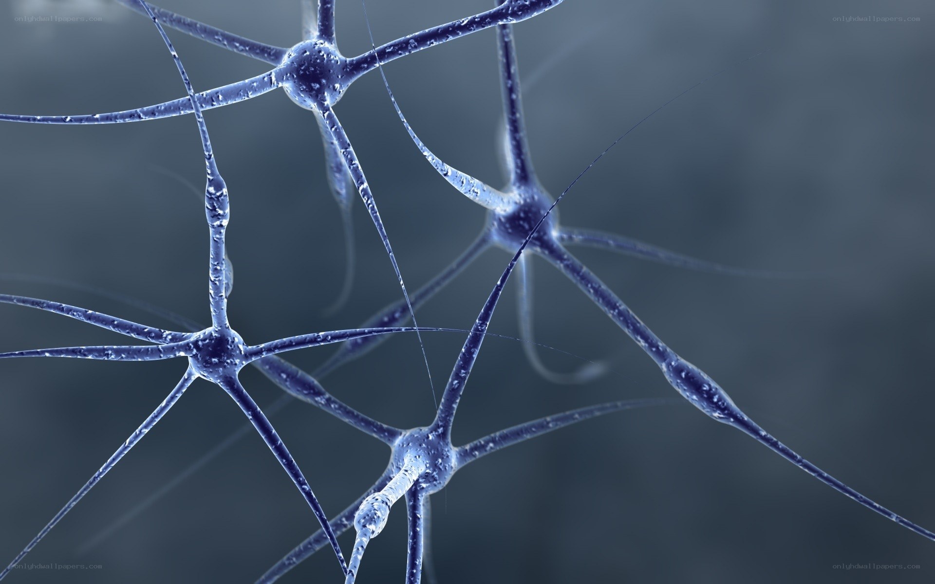 Neural network structure