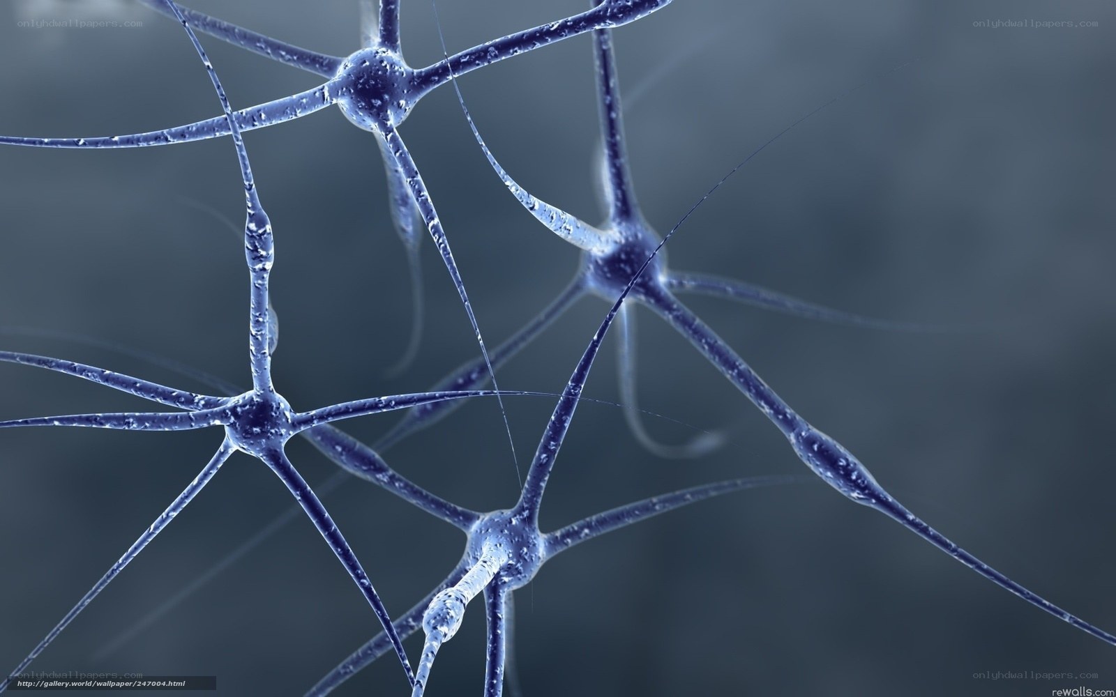 Neural network structure