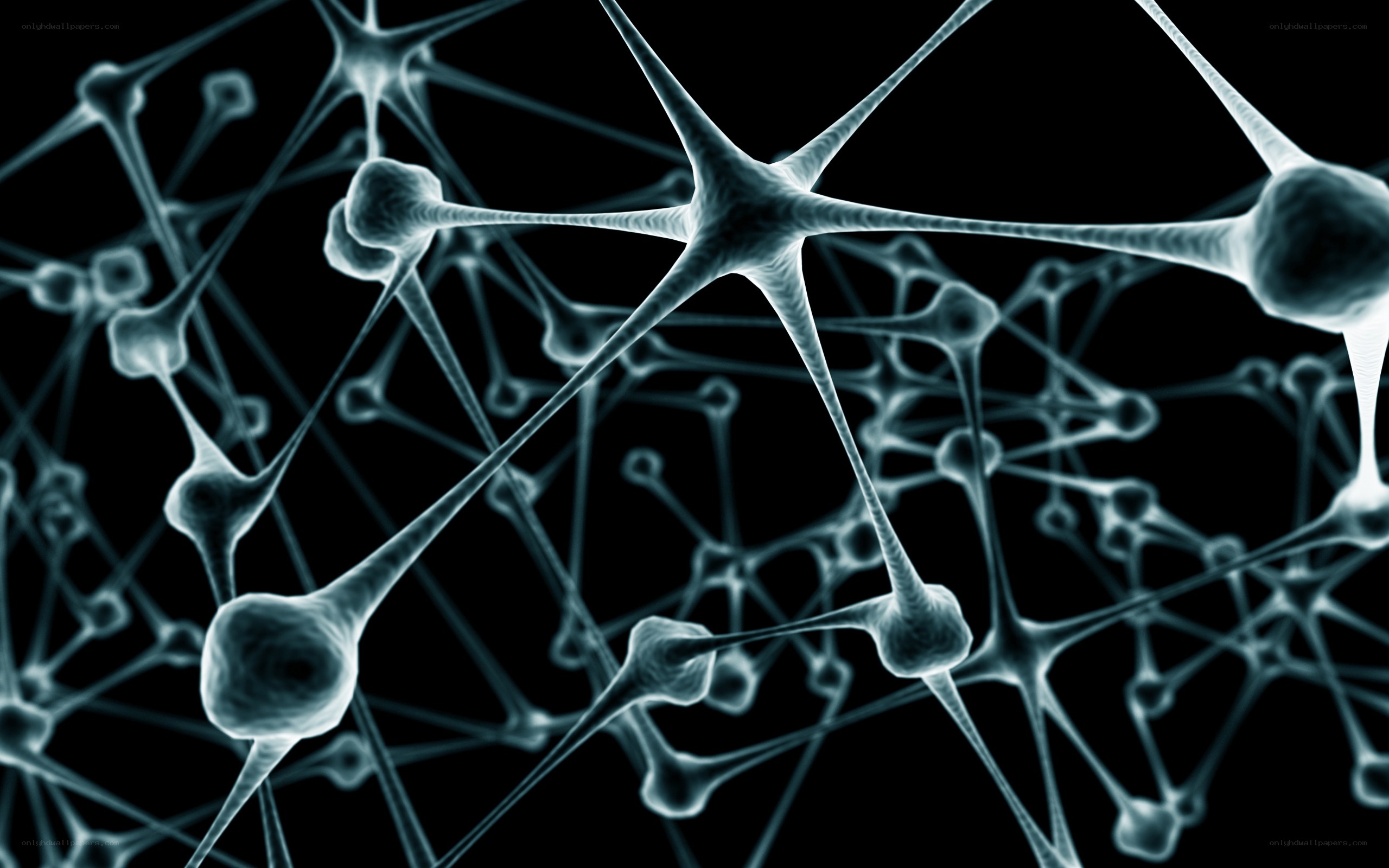 Neural network structure