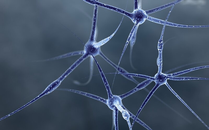 neural network structure