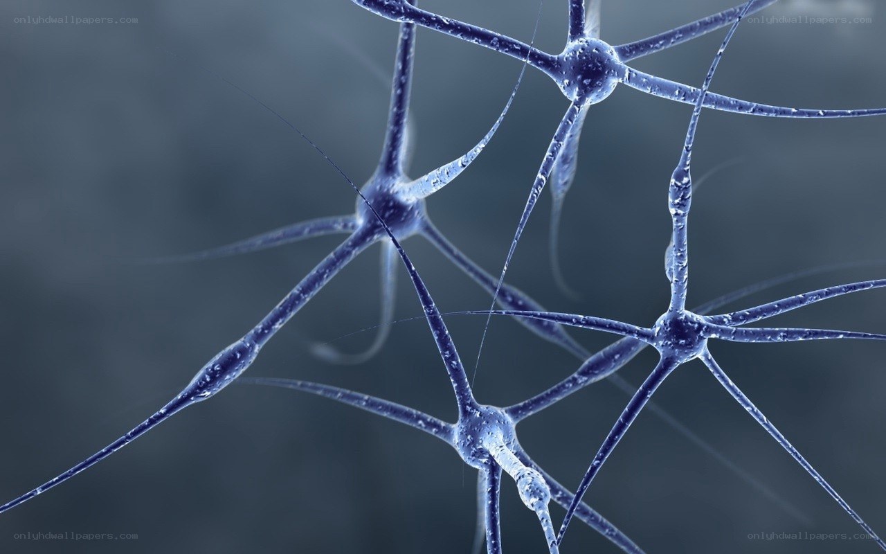 neural network structure
