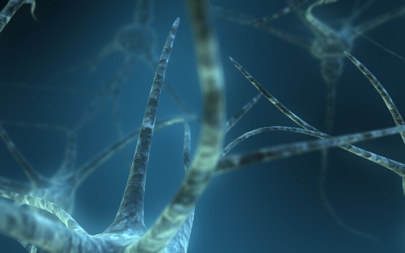 Neural Network Structure — Blue