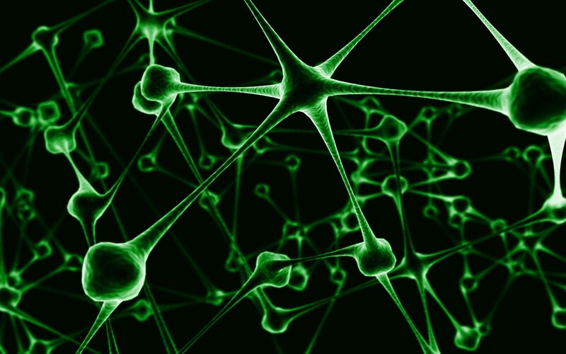 Neural Network Structure — Green, Scientific