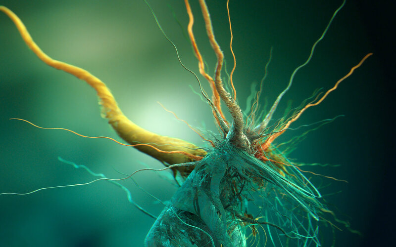 Neural Network Structure — Green