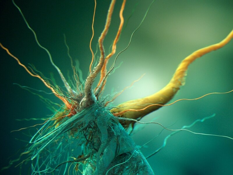 Neural Network Structure — Teal, Scientific, 3d Render, Axon, Dendrite, Synapse
