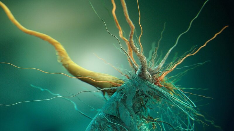 Neural Network Structure — Teal, Scientific, 3d Render, Axon, Dendrite