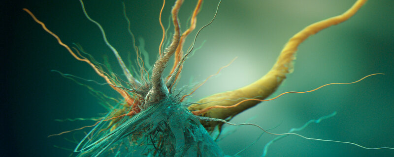 Neural Network Structure — Teal, Scientific, 3d Render, Axon