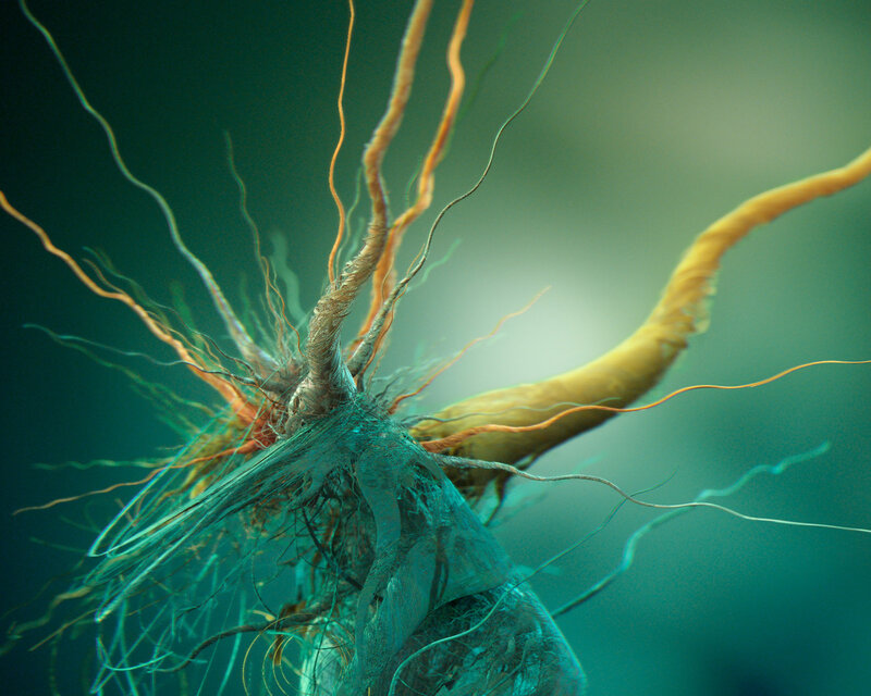 Neural Network Structure — Teal, Scientific, 3d Render