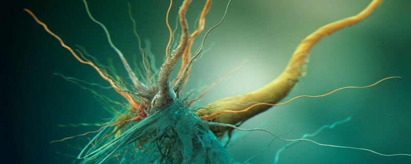 Neural Network Structure — Teal, Scientific