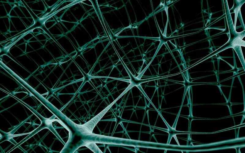 Neural Network Structure — Teal
