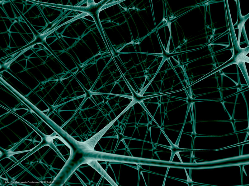 Neural network structure