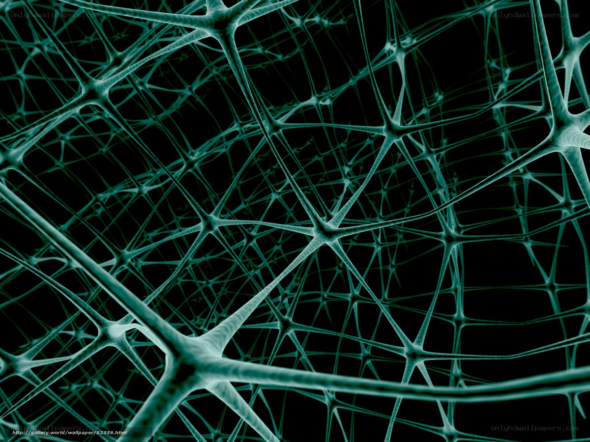 Neural network structure