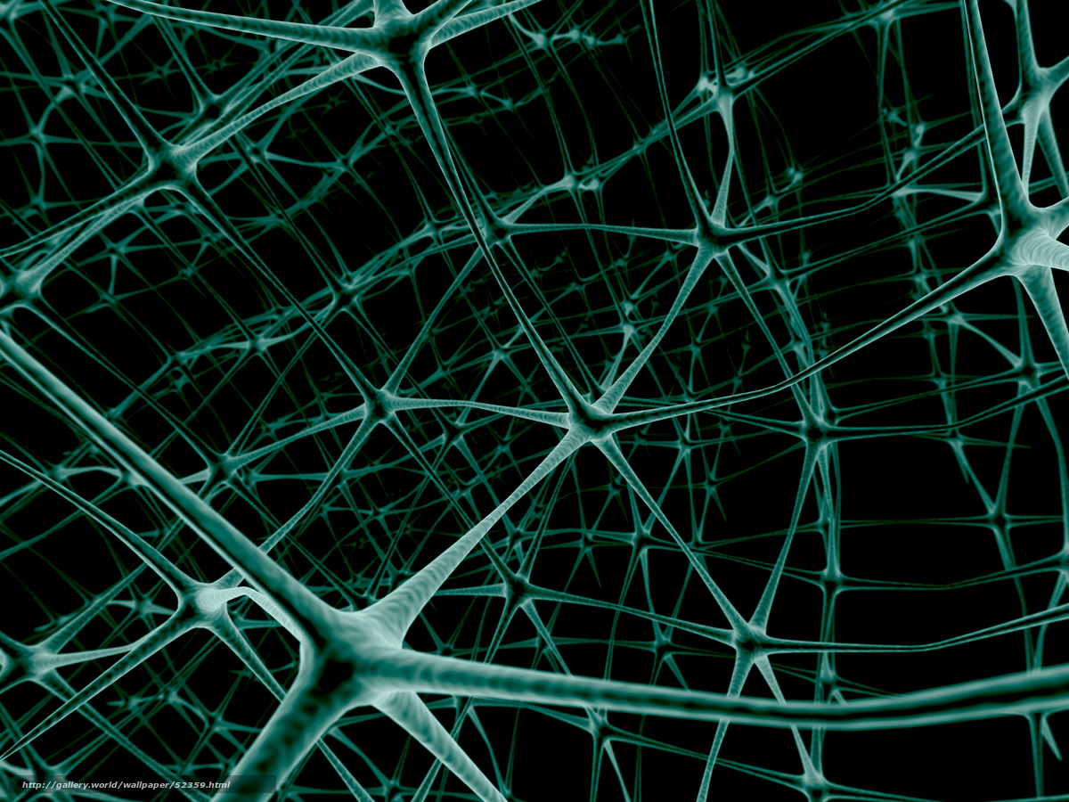 Neural network structure