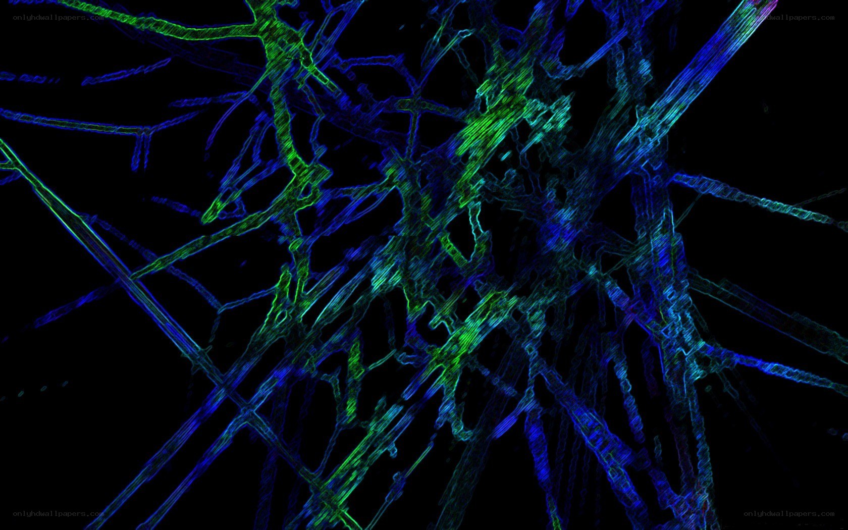 Neural network under microscope