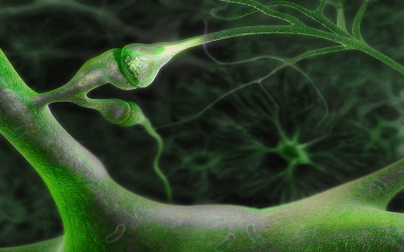 Neural network visualization