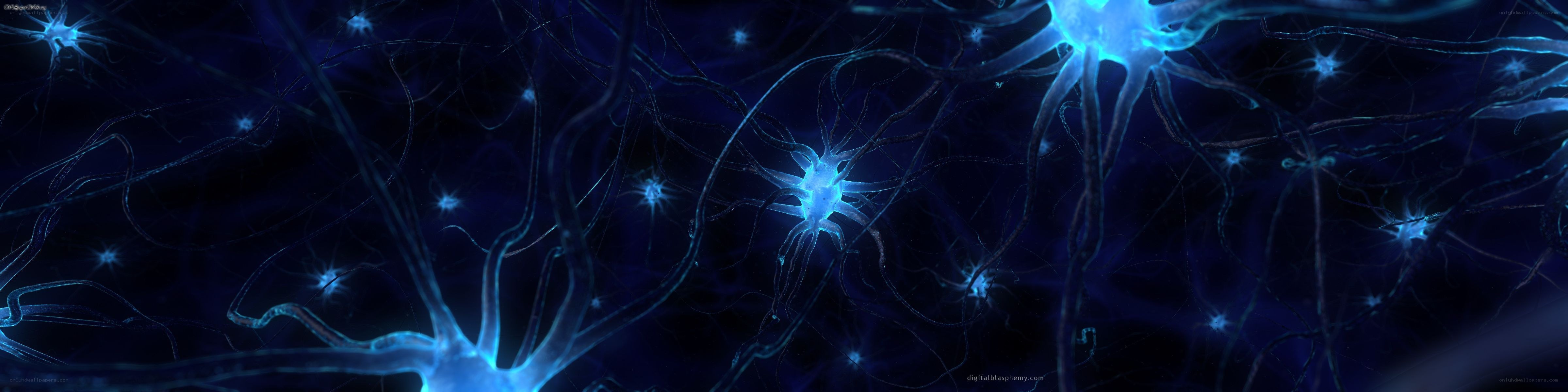 Neural network visualization