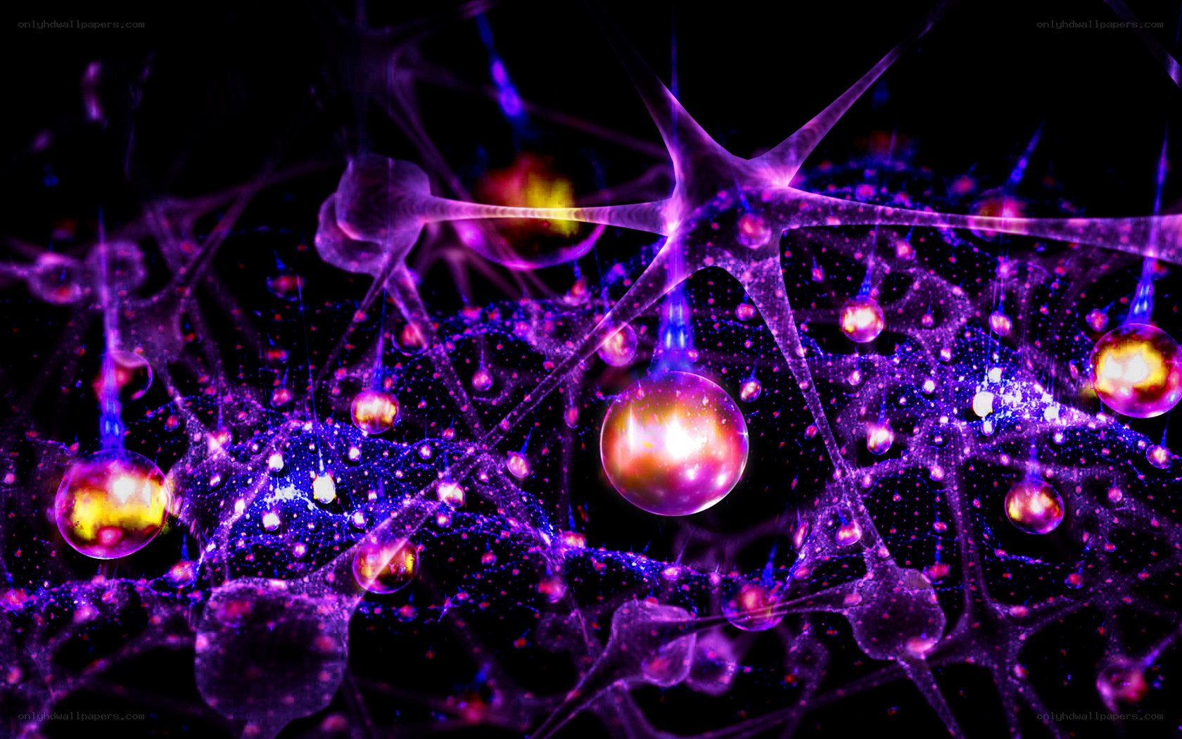 Neural network visualization
