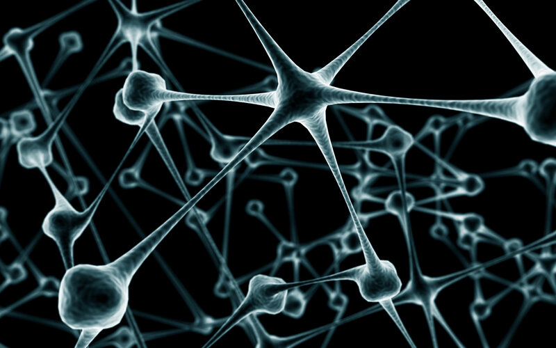 Neural network visualization