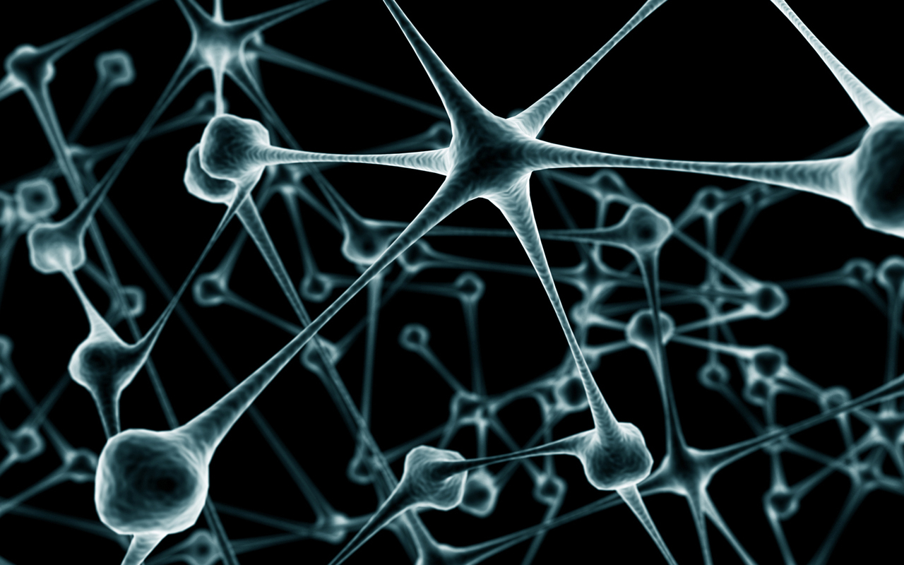 Neural network visualization