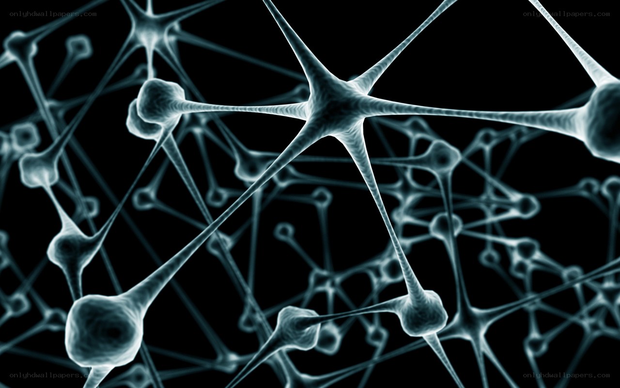 Neural network visualization