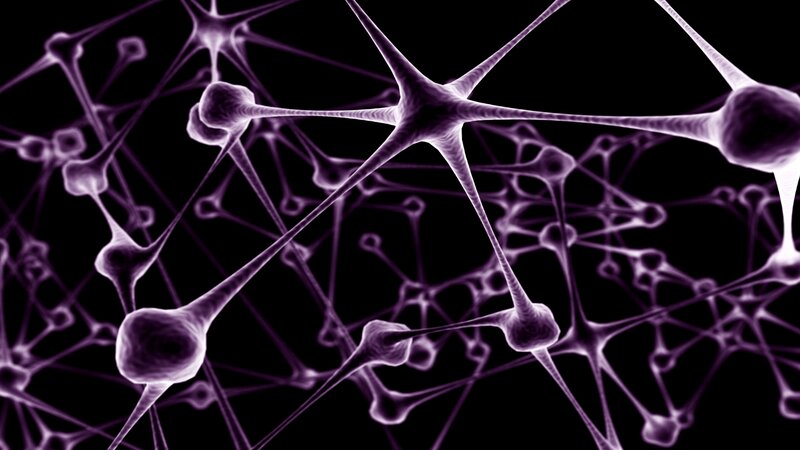Neural network visualization