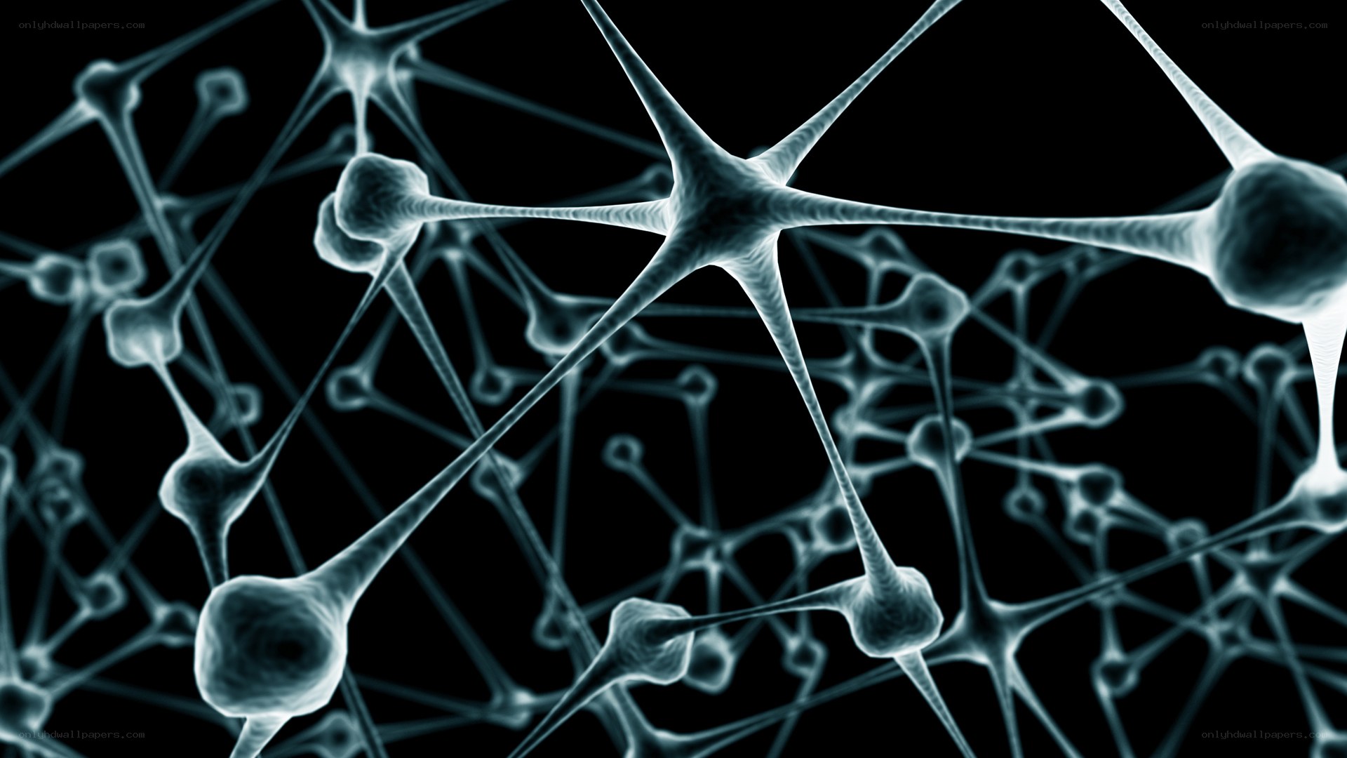 neural network visualization